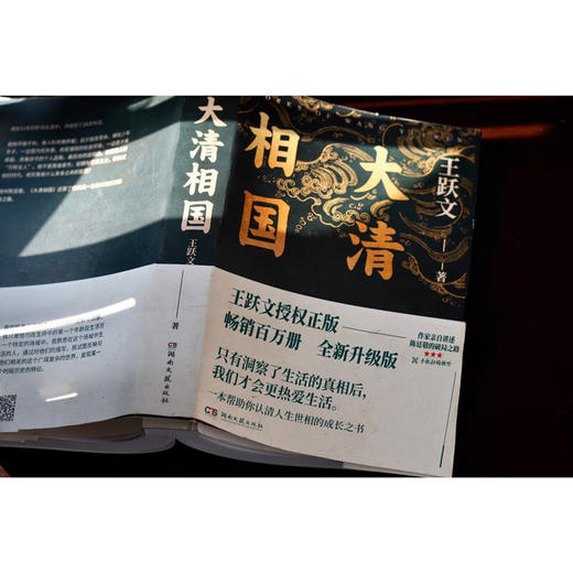 大清相国 商品图4