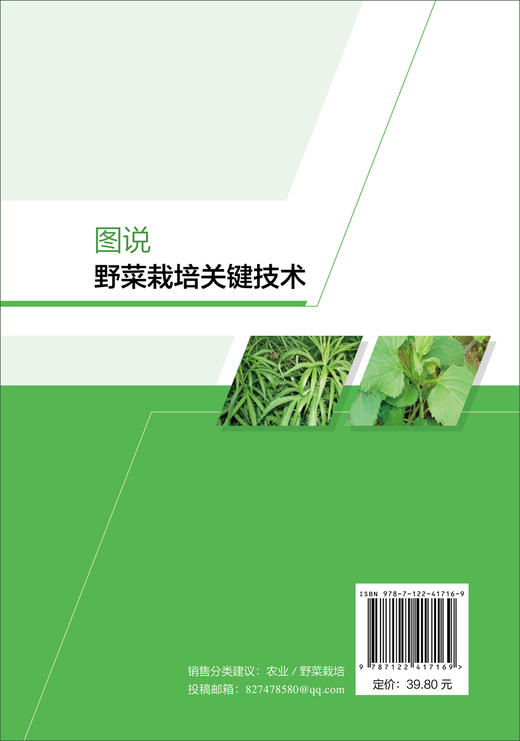 图说野菜栽培关键技术 商品图1