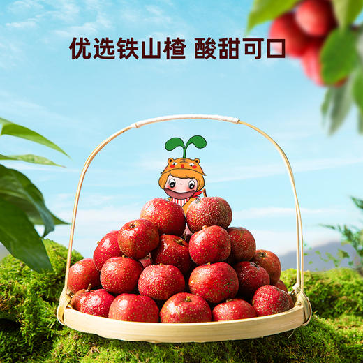 窝小芽山楂棒棒糖小零食休闲山楂制品*8支 商品图2