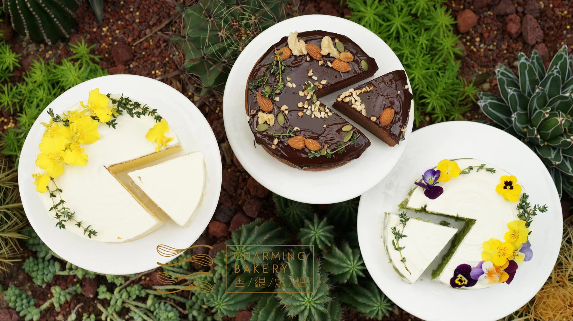 【会员专属特惠99元】浮云系列蛋糕