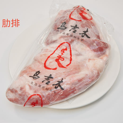 丨有机丨乌吉木羔羊肉 内蒙散养羊 商品图8
