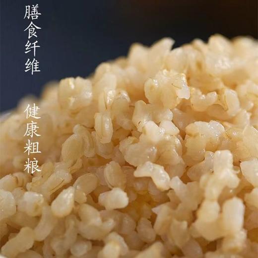 XFBF-芈山宝大良糙米-2.5kg 商品图5