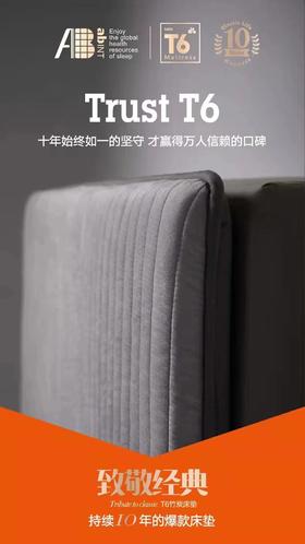 AB品牌加厚T6床垫纤维床垫