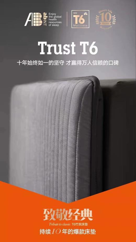 AB品牌加厚T6床垫纤维床垫 商品图0