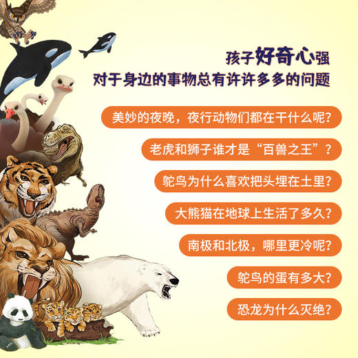 【支持点读】动物大揭秘    （8本/套）【适合4-8岁】 商品图2