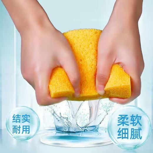 【蒸烤箱吸水海绵】专用木浆海绵除垢微波炉加厚清洁清洗海绵块 商品图2