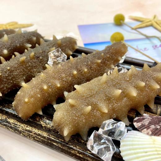 【12.2爱逛直播】鼎圣堂 大连海参 商品图0