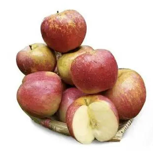 【7.9元2斤】丑苹果（1501259） 商品图0