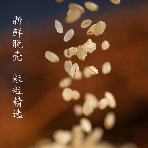 XFBF-芈山宝大良糙米-2.5kg 商品图2