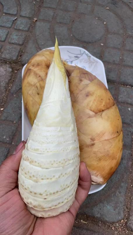 临安冬笋 商品图7