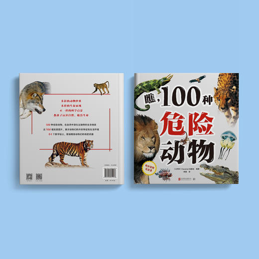 “奇妙动物在这里”系列（共2册）——《瞧，150种创纪录动物》+《瞧，100种危险动物》 商品图14