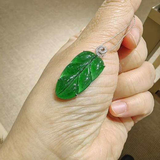 危料绿叶子 商品图3