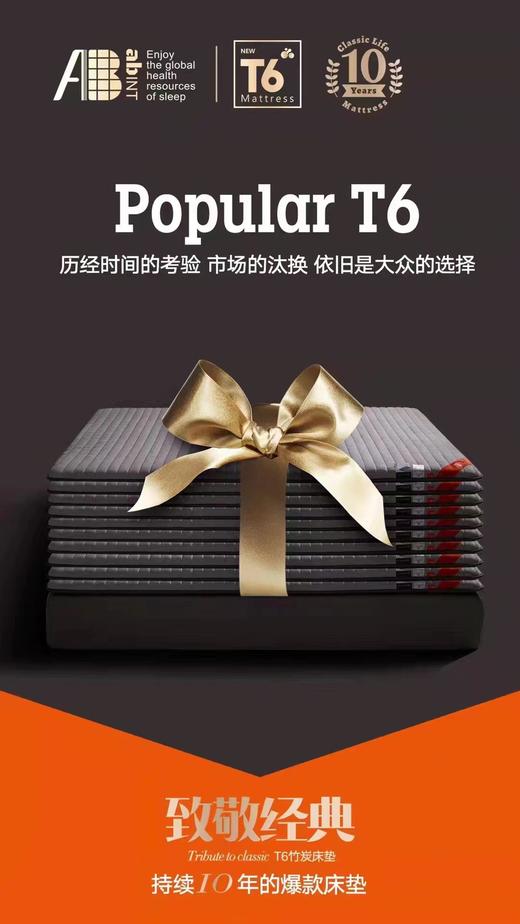 AB品牌加厚T6床垫纤维床垫 商品图1