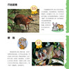 “奇妙动物在这里”系列（共2册）——《瞧，150种创纪录动物》+《瞧，100种危险动物》 商品缩略图7