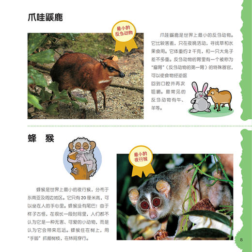 “奇妙动物在这里”系列（共2册）——《瞧，150种创纪录动物》+《瞧，100种危险动物》 商品图7