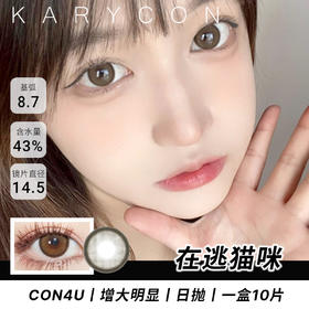 Con4u 在逃猫咪   自然棕色美瞳 大直径丨增大明显【日抛14.5mm】