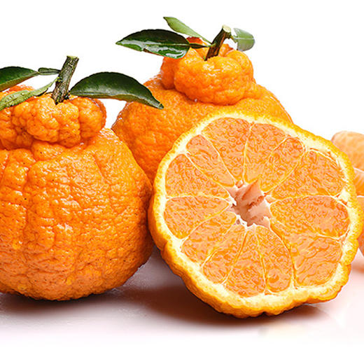 耙耙柑：肉质脆嫩、多汁、囊壁薄、极化渣，酸甜适口  好吃不上火 商品图1