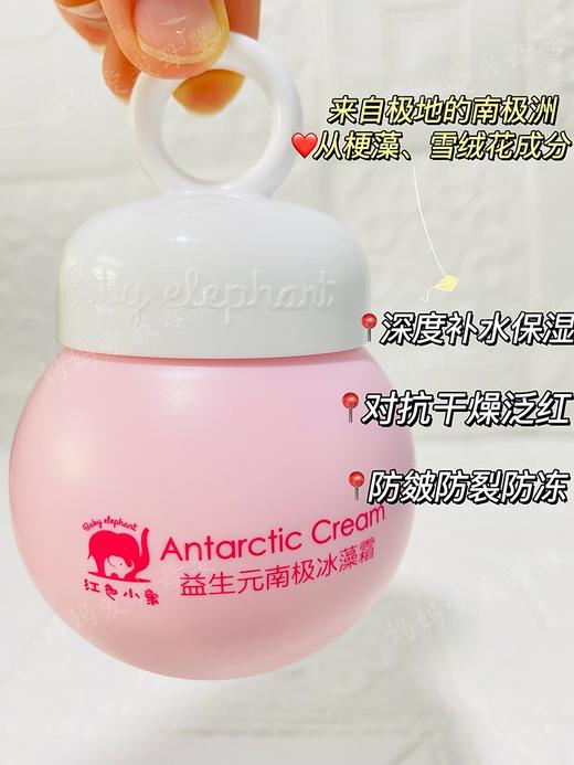 红色小象益生元南极冰藻霜52克 商品图0