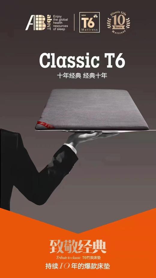 AB品牌加厚T6床垫纤维床垫 商品图2