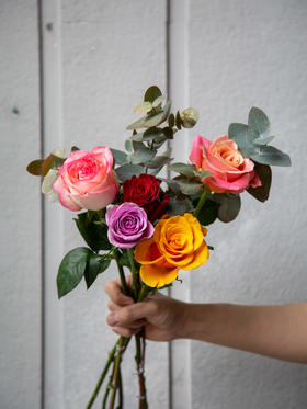 混色玫瑰（5支） 颜色随机