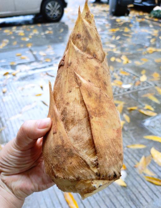 临安冬笋 商品图4