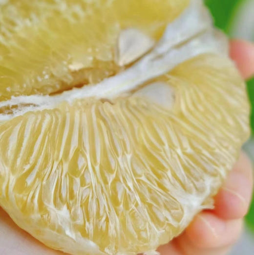 【限时整箱秒糖月柚来喽～】继泰金柚之后，又一爆款，粒粒爆汁！
粘手的甜，到货！欢迎下单！ 商品图3