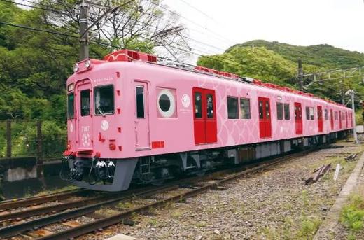 日本JR PASS铁路周游全国券 JR pass 7/14/21天 商品图5