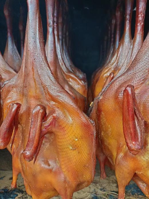 宜宾沙河板鸭3斤左右（整只装） 商品图0