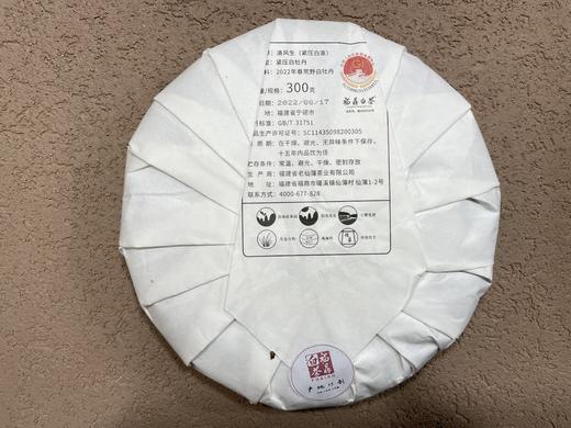 极枞·荒野白牡丹·清风生·松压手撕饼 300克 商品图8