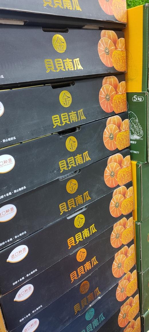 金贝贝南瓜一箱（拼团） 商品图0