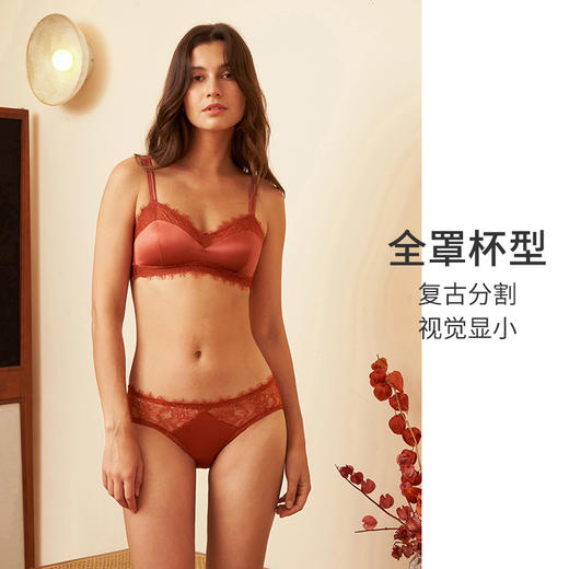 HSIA遐大胸显小文胸轻薄法式性感睫毛蕾丝胸罩全罩杯无钢圈内衣女 商品图4