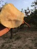壶口酥梨 宜川原产地直发 精品箱装 香甜多汁 英联公司（14斤） 商品缩略图1