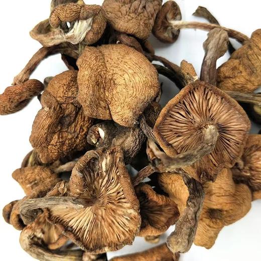 XFBF-榛蘑-250g 商品图2