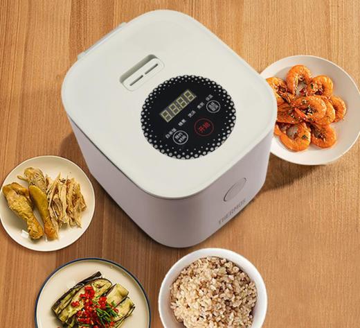 膳魔师 EHA-4123E  电饭煲 商品图1