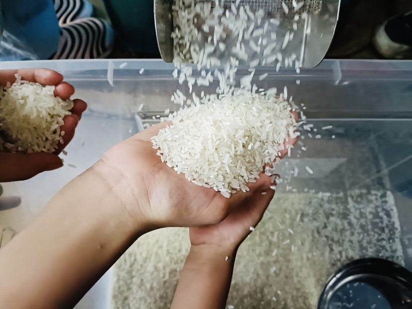 呱哩农场 2023年晚稻新米 朴愿农场有机大米 简装少量
