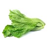 大芥菜 500g 商品缩略图0