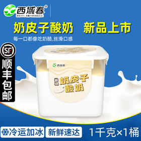 ✅新疆西域春2斤大桶装奶皮子酸奶【新品家庭实惠大桶装】💯【新疆名优特品牌】