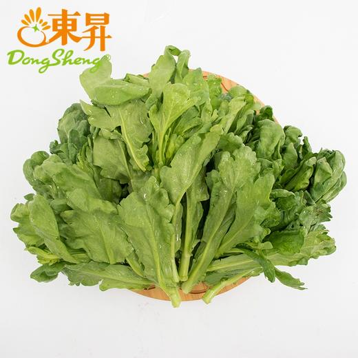 东升有机茼蒿苗 菊花菜 鹅菜 塘蒿 250g  广州供港新鲜蔬菜配送 商品图2