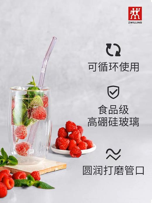 【B1】双立人彩色吸管 商品图3