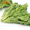 东升有机茼蒿苗 菊花菜 鹅菜 塘蒿 250g  广州供港新鲜蔬菜配送 商品缩略图3
