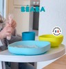 法国BEABA 婴儿辅食碗 硅胶吸盘碗勺套装  宝宝餐盘 儿童防摔餐具 商品缩略图9
