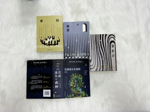 《若我迷失在森林：卡夫卡荒诞三部曲 》（套装全3册） 商品图8