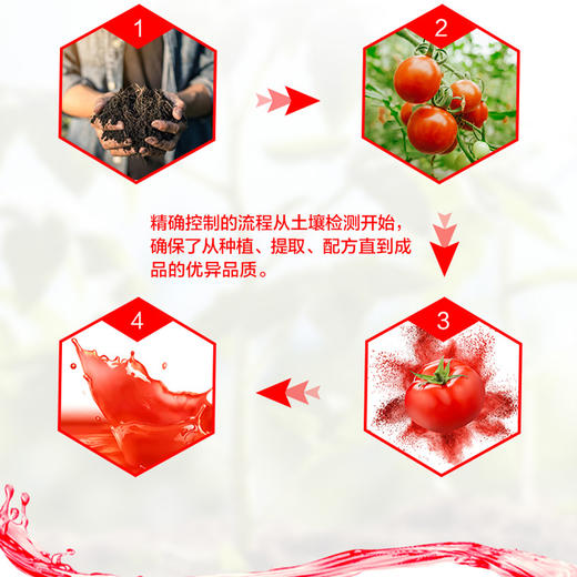 汤臣倍健番茄红素维生素E软胶囊成人抗氧化 60粒/瓶 商品图2