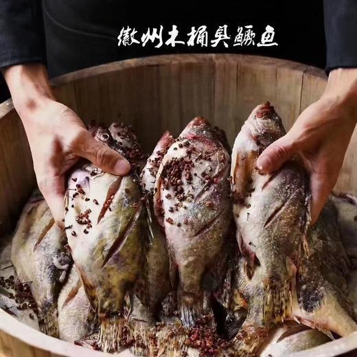 苗员外臭桂鱼～500克 商品图4