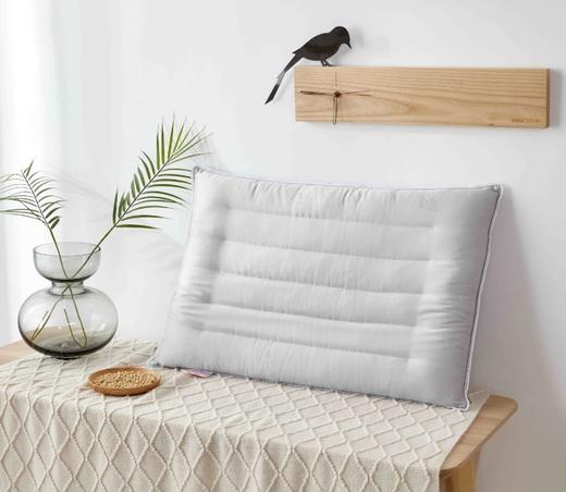 红豆红豆衫枕芯HA2ZD03210灰色48*74 商品图0