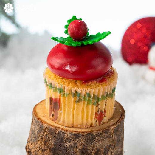 （预约验券专用）【圣诞纷享礼盒】请对应款式下单，验券不成功不发货，备注抖音电子券码，下单支付0.01元即可 商品图2