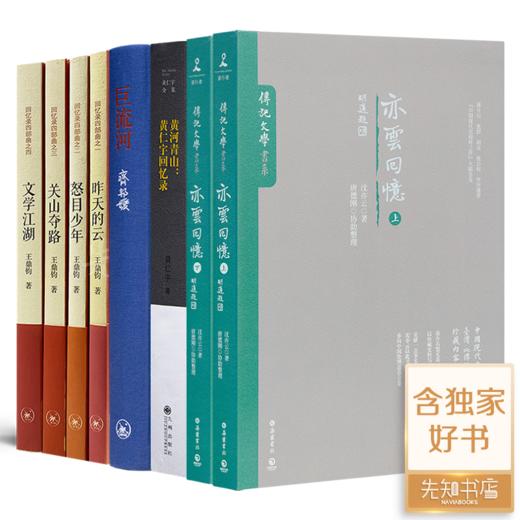文学与历史：四个人与百年中国 商品图0