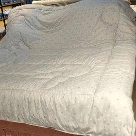 【79元/床89元/床】虹升立体冬被