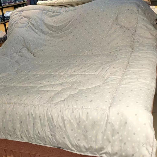 【79元/床89元/床】虹升立体冬被 商品图0