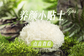 金燕耳银耳养颜小贴士